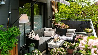 100 Pflegetipps für Balkon-, Garten- & Zimmerpflanzen